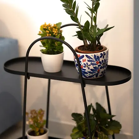 Charming & Modern 2 Bedroom Dvas1-1