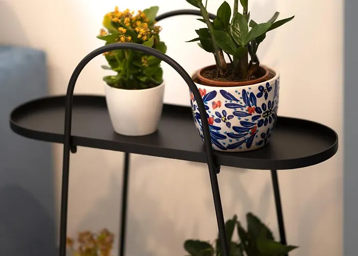 Charming & Modern 2 Bedroom Dvas1-1